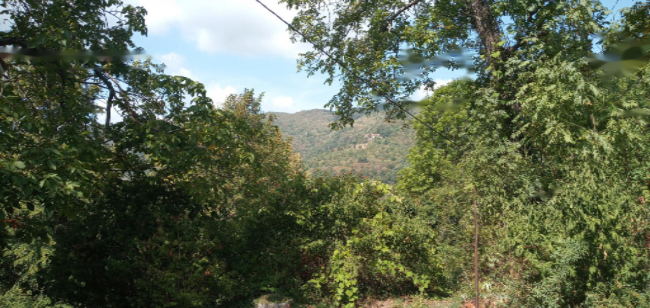 Дом в Пиране, Словения, 140 м² - фото 16