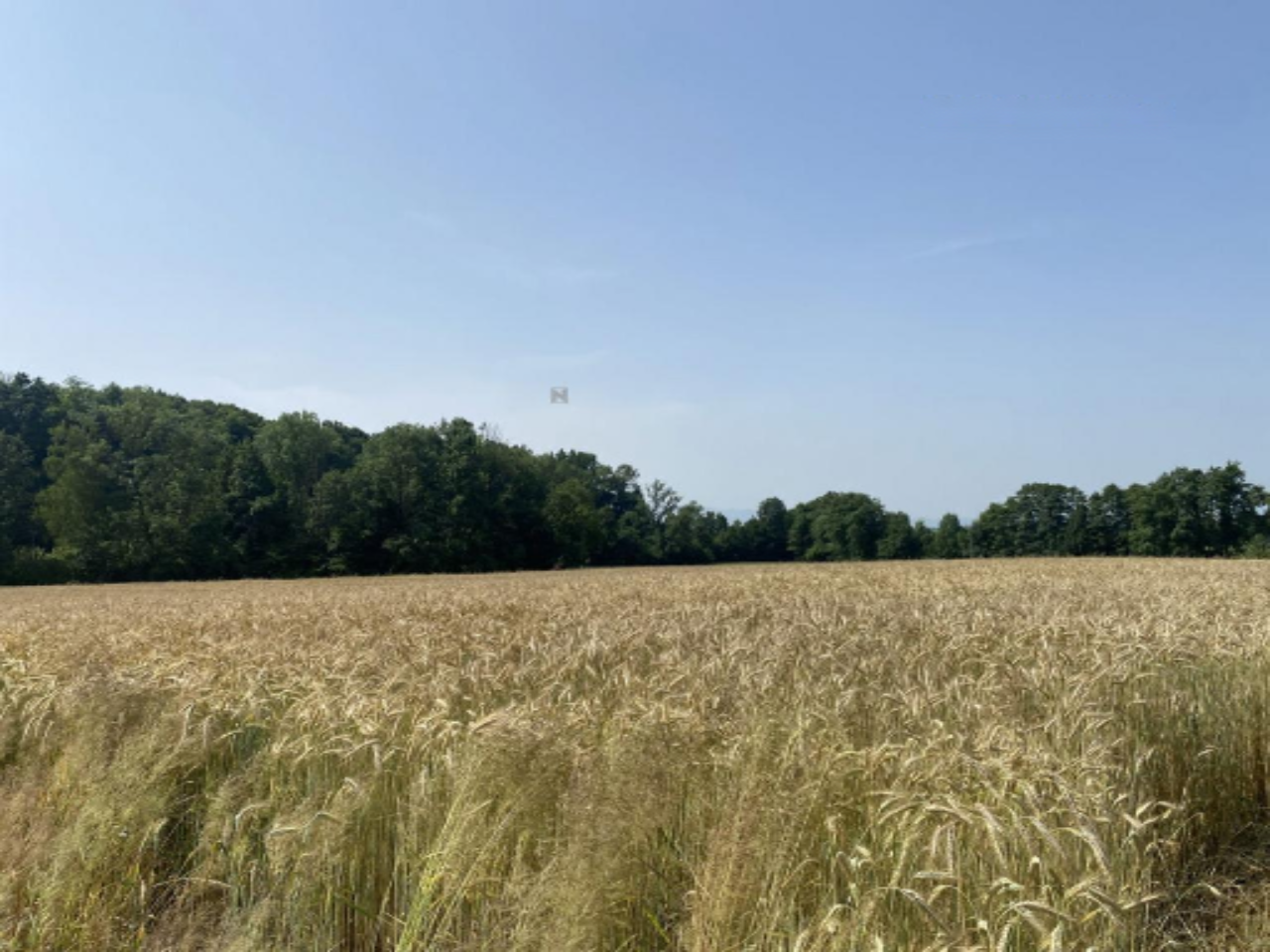 Дом в Орможе, Словения, 81 м² - фото 16