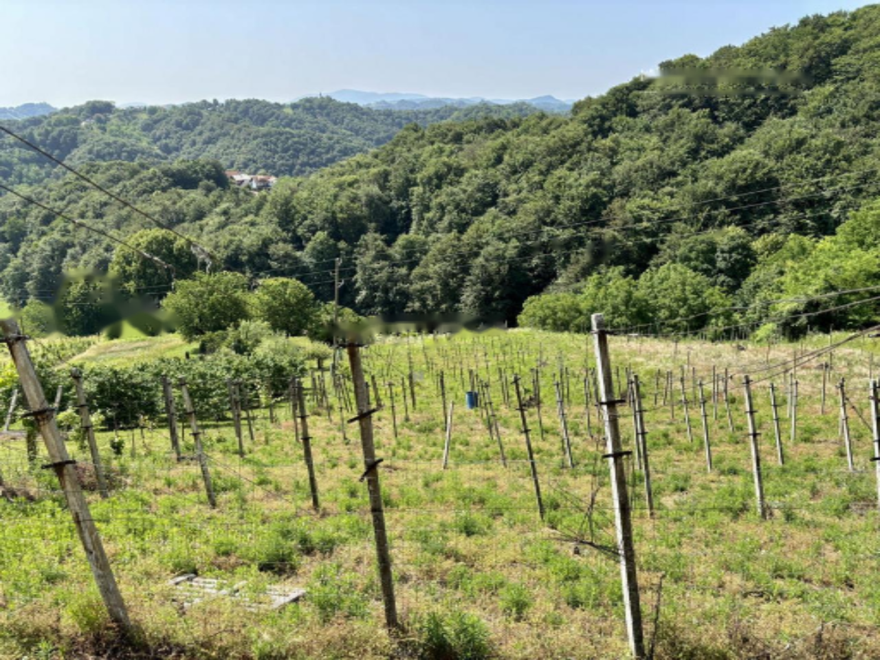 Дом в Литие, Словения, 82 м² - фото 17