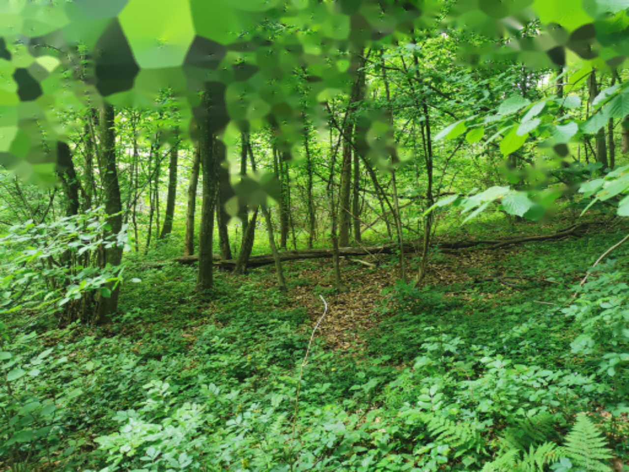 Дом в Малечнике, Словения, 79 м² - фото 18