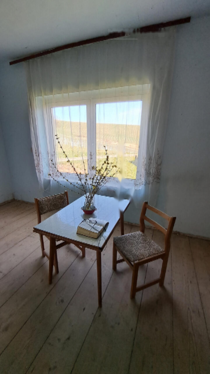 Дом в Малечнике, Словения, 120 м² - фото 19