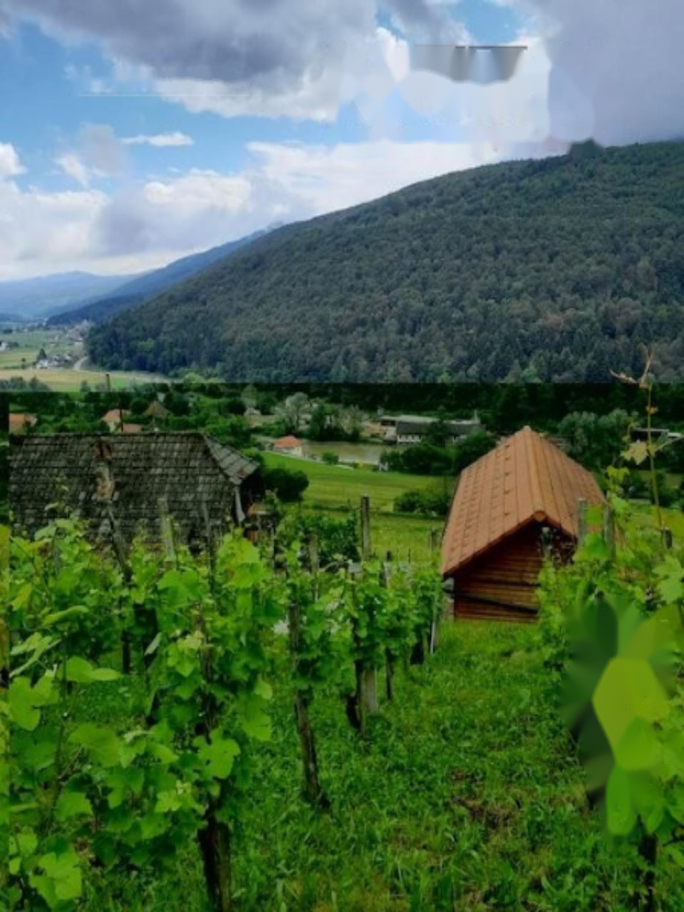 Дом в Шкофья-Лока, Словения, 44 м² - фото 5