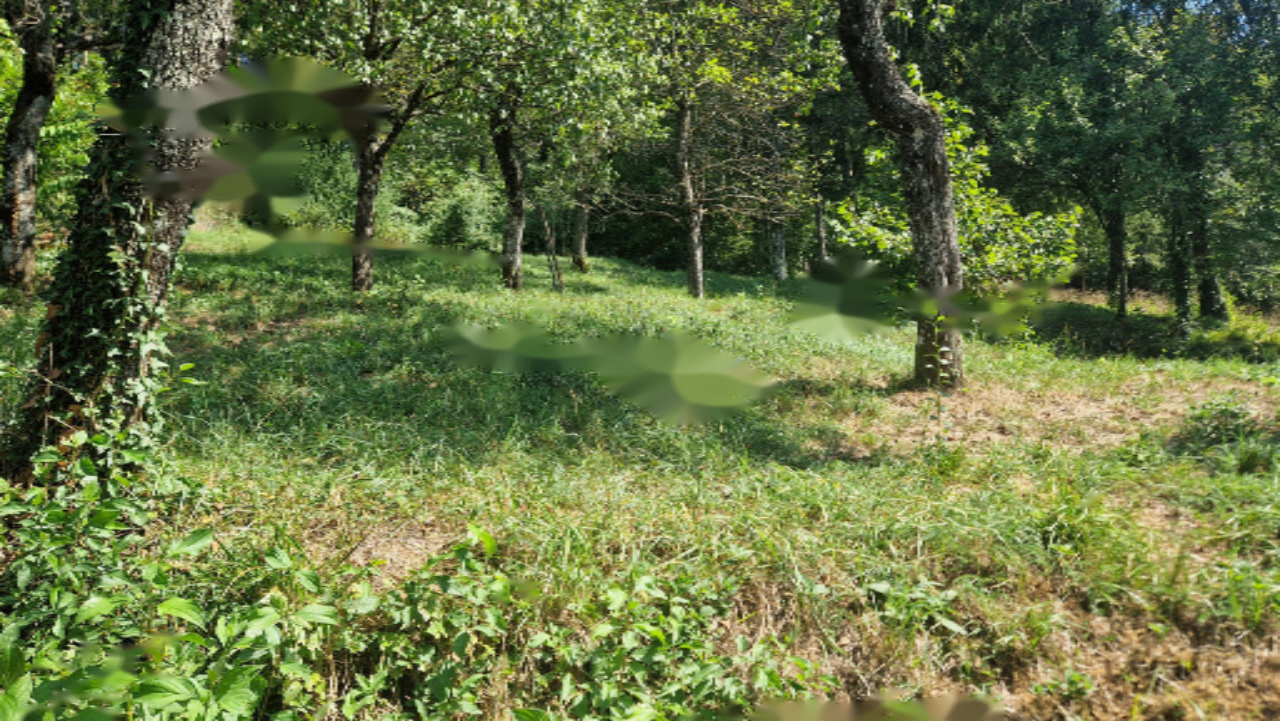 Дом в Преддворе, Словения, 90 м² - фото 18