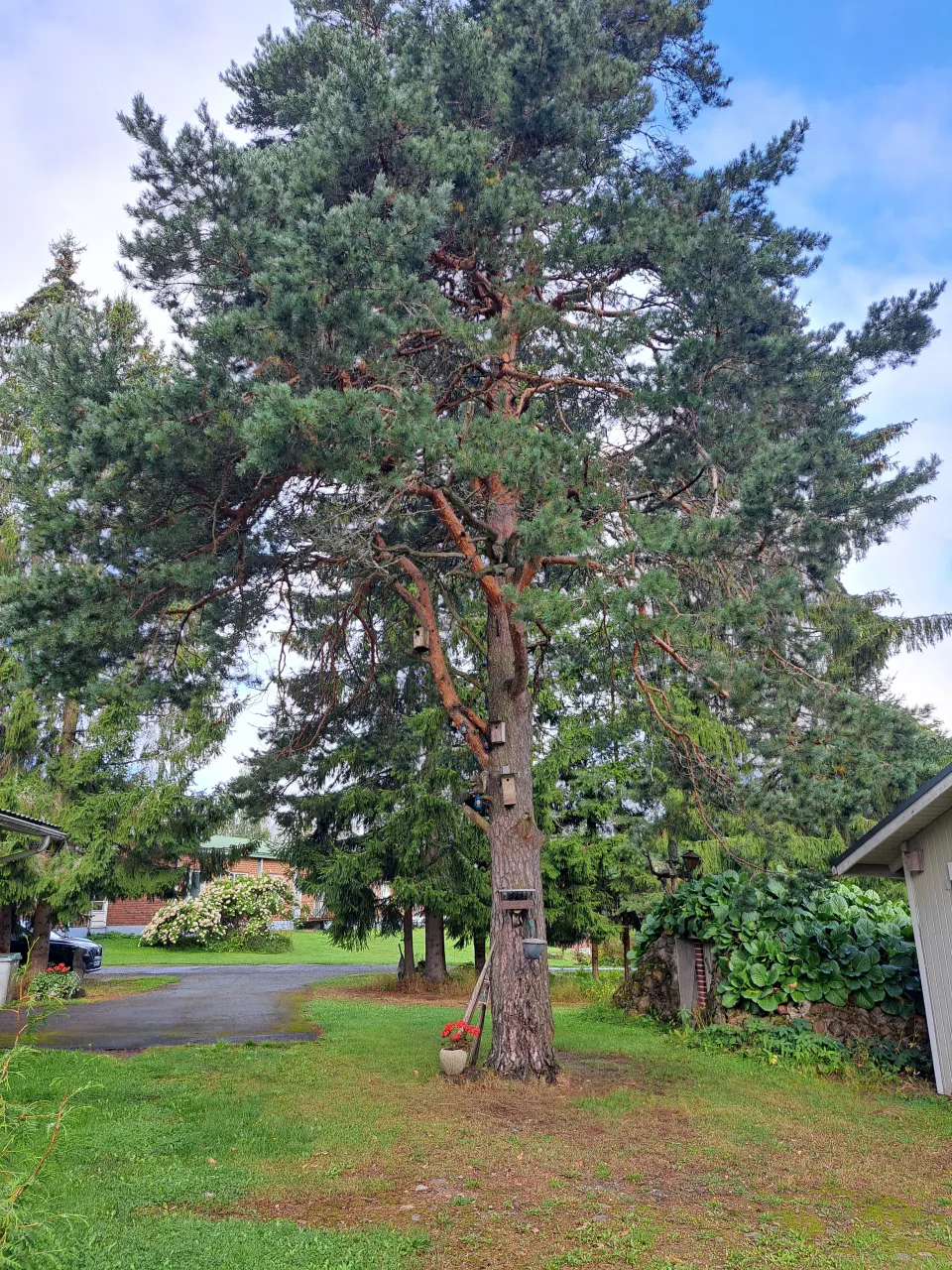 Дом в Кангасале, Финляндия, 119.5 м² - фото 14