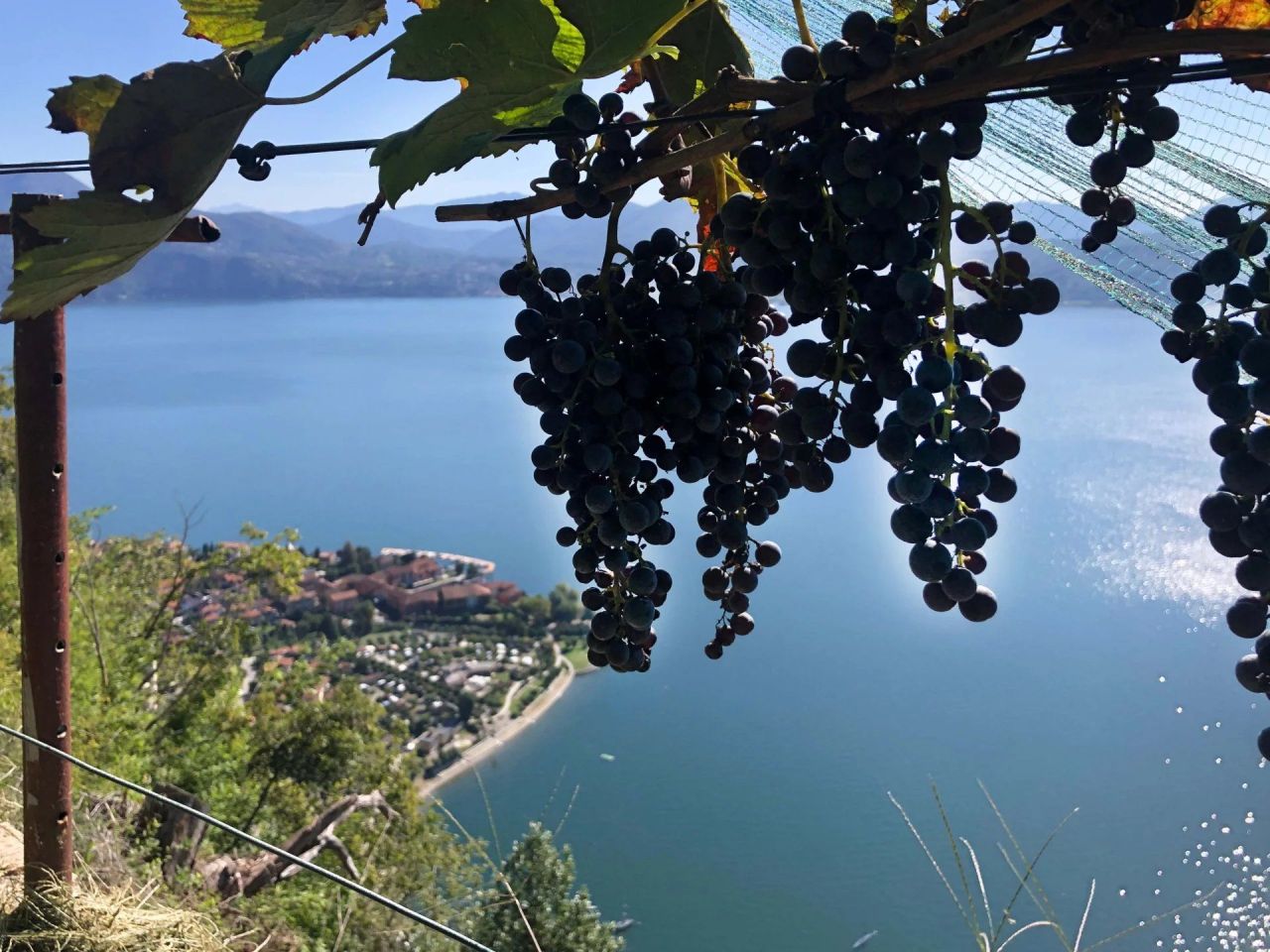 Вилла в Каннеро-Ривьере, Италия, 530 м² - фото 7