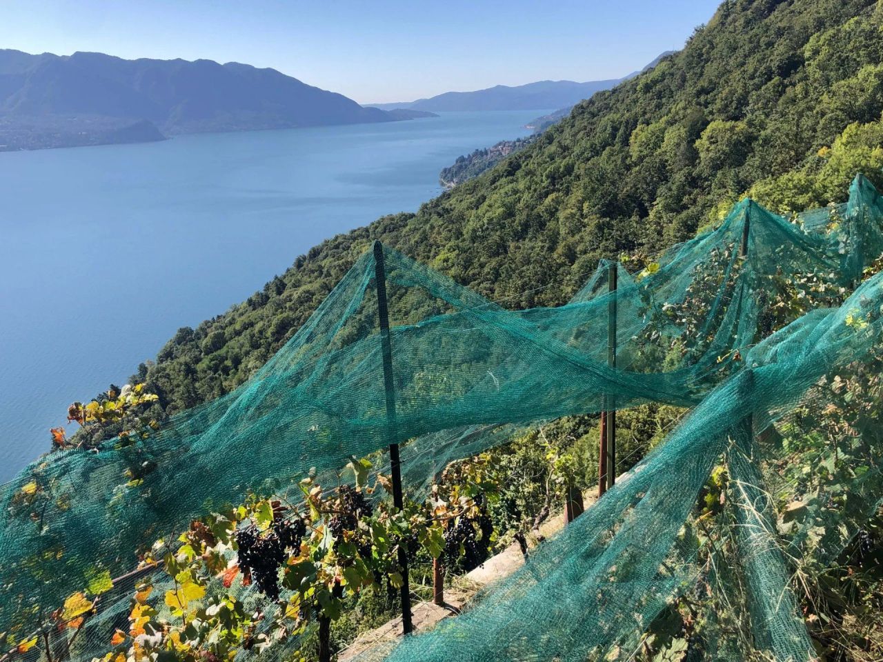 Вилла в Каннеро-Ривьере, Италия, 530 м² - фото 8