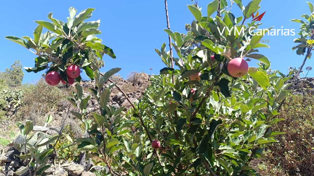Дом на Тенерифе, Испания, 115 м² - фото 7
