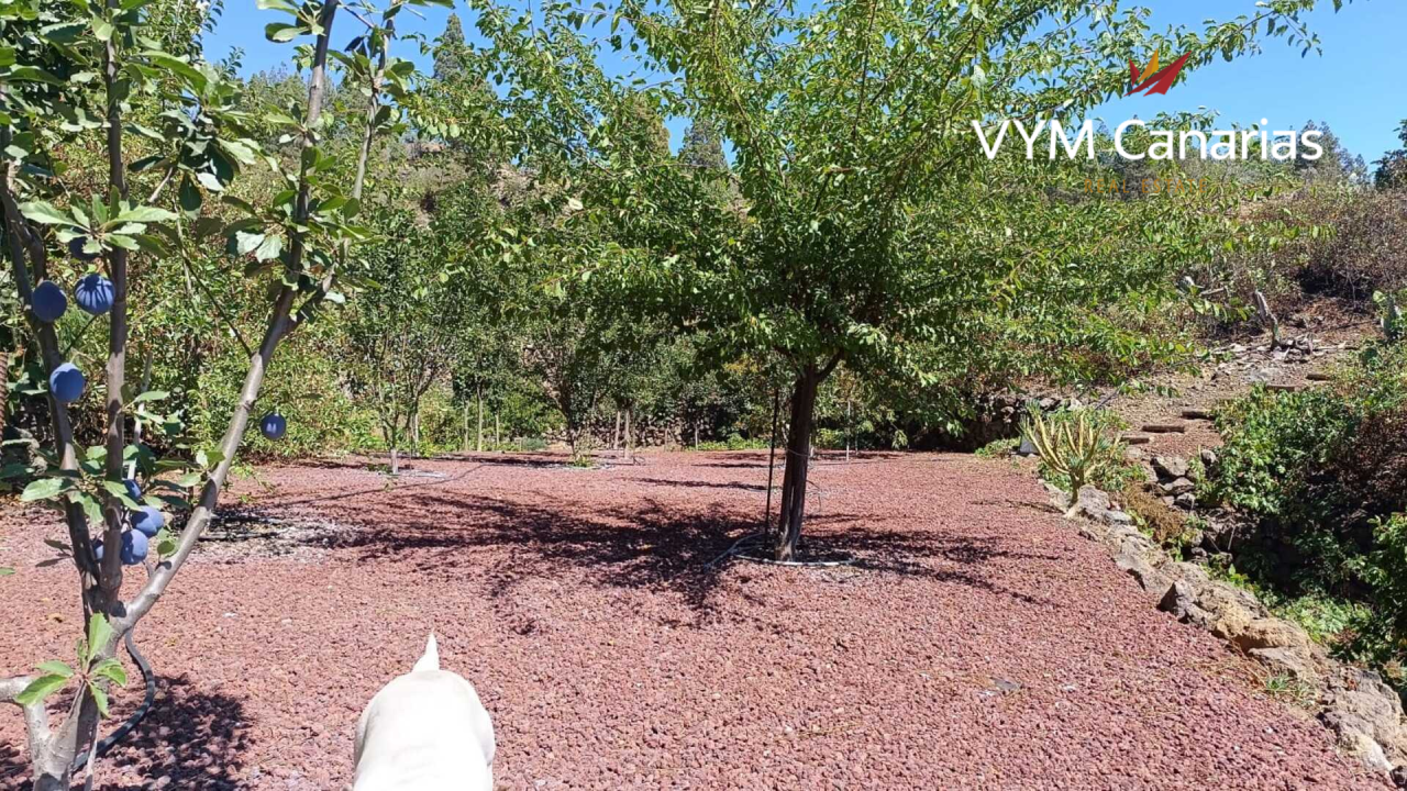 Дом на Тенерифе, Испания, 115 м² - фото 10