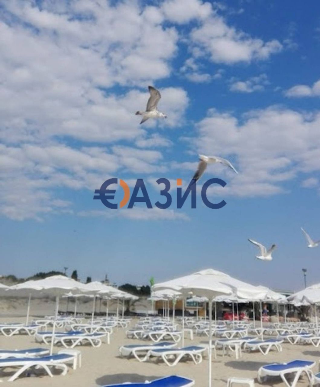 Апартаменты на Солнечном берегу, Болгария, 33 м² - фото 19