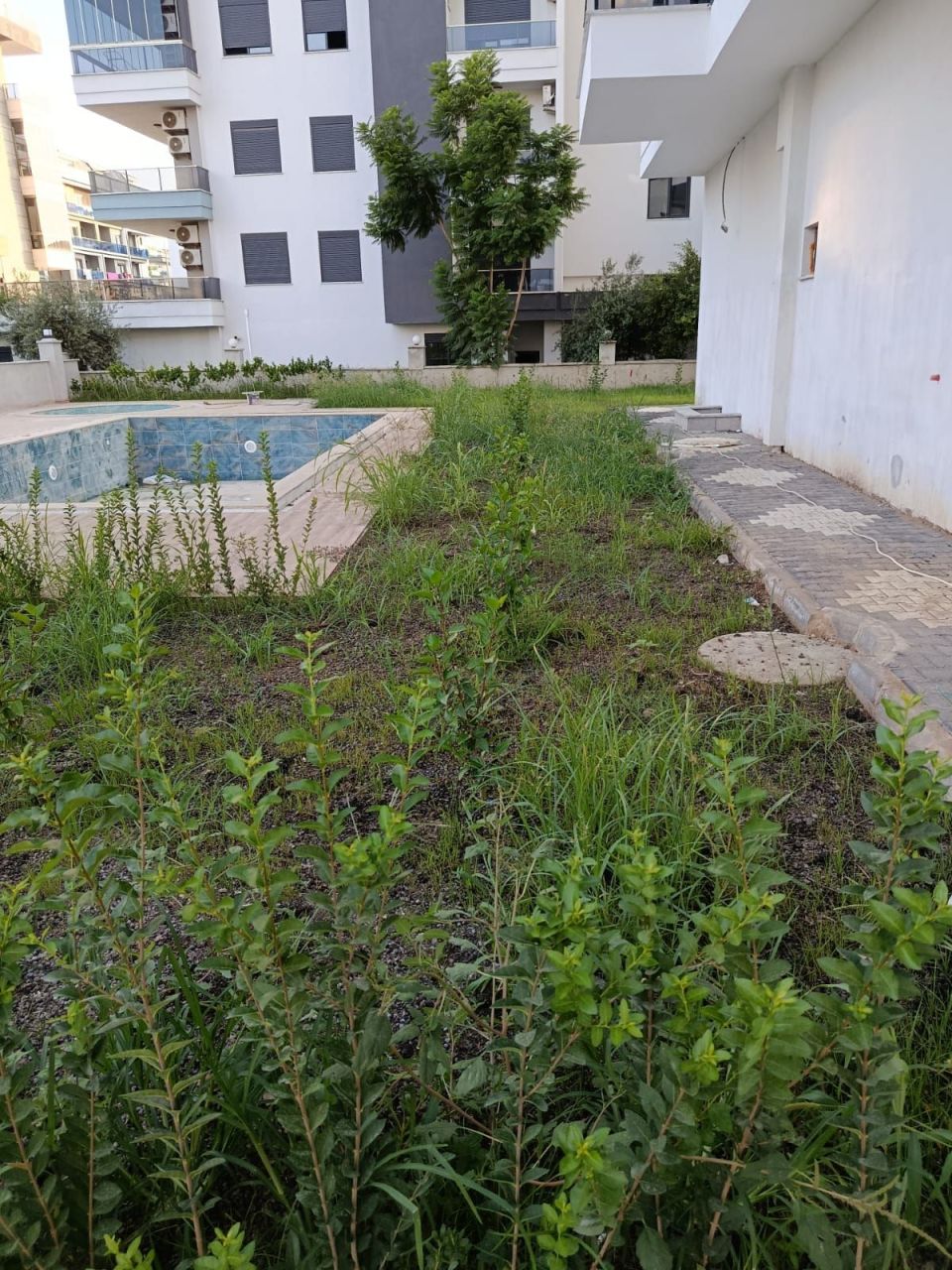 Апартаменты в Алании, Турция, 60 м² - фото 9