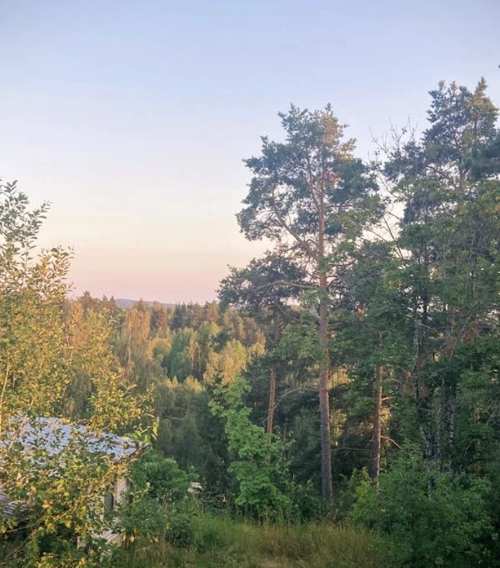 Дом в Савонлинне, Финляндия, 90 м² - фото 5