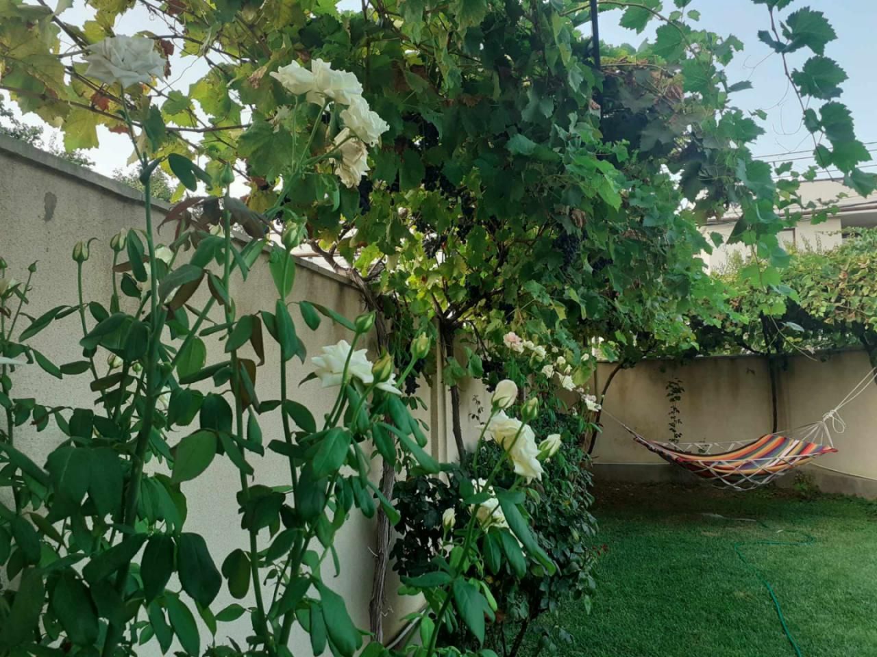 Дом в Тбилиси, Грузия, 250 м² - фото 9