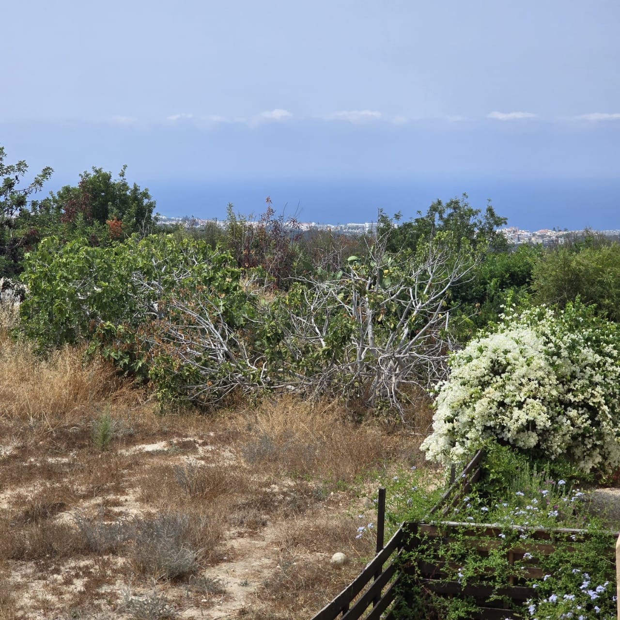 Апартаменты в Пафосе, Кипр, 85 м² - фото 11