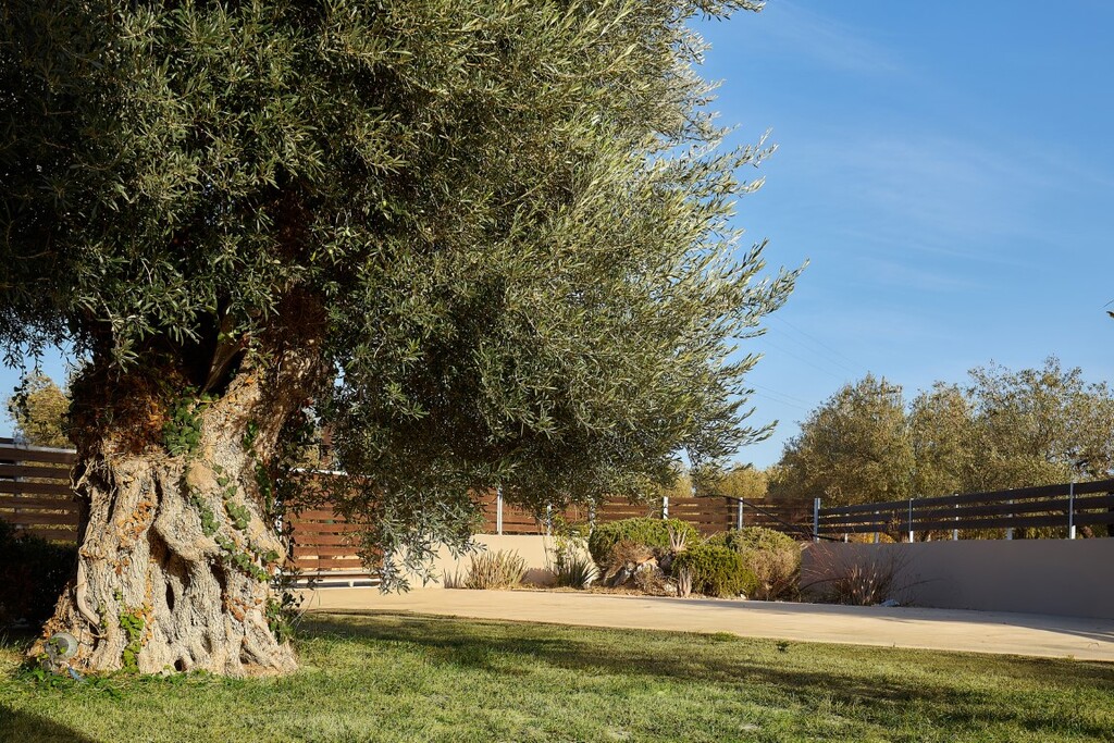 Вилла в Ираклионе, Греция, 120 м² - фото 5