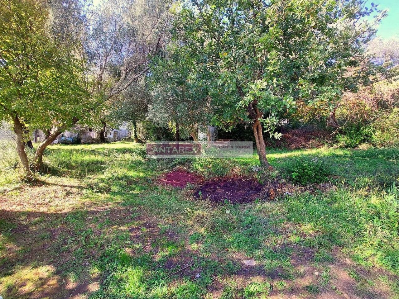 Земля в Биеле, Черногория, 487 м² - фото 4