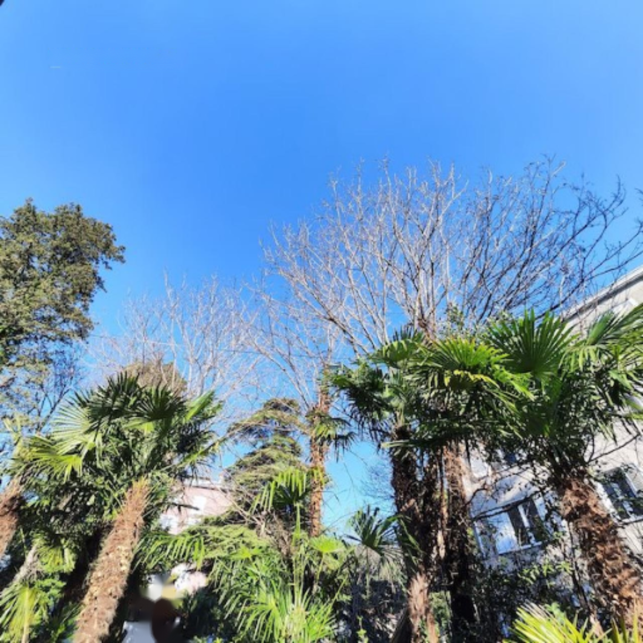 Дом в Портороже, Словения, 180 м² - фото 11