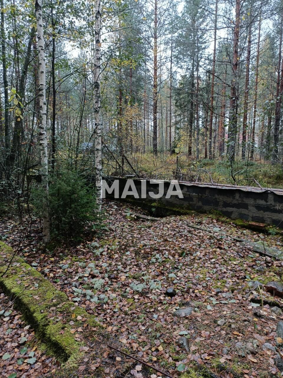 Земля в Мянтюхарью, Финляндия, 8 330 м² - фото 8