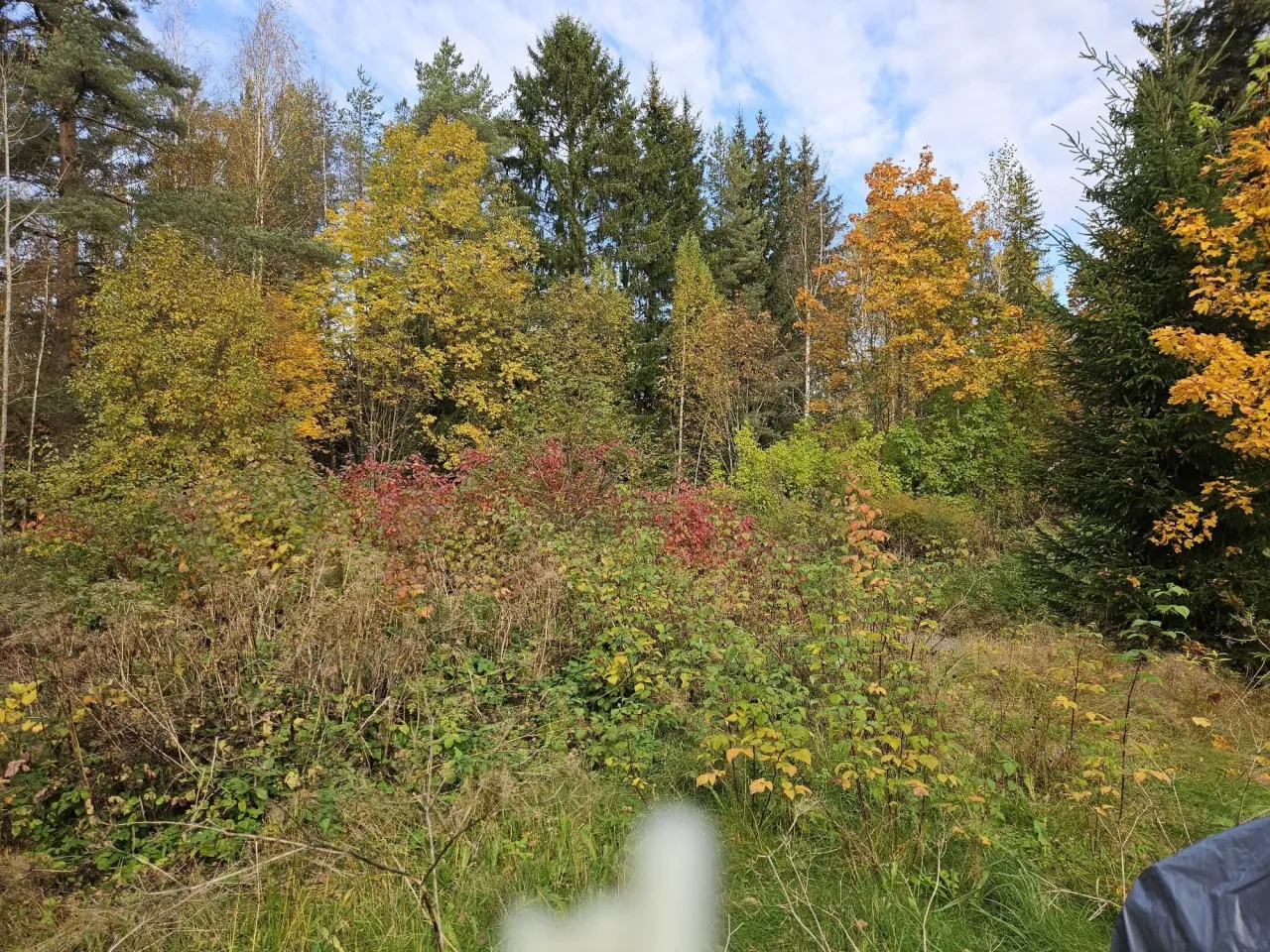 Коттедж в Хамине, Финляндия, 34 м² - фото 15