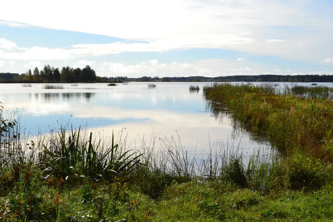 Коттедж в Эвиярви, Финляндия, 70 м² - фото 4