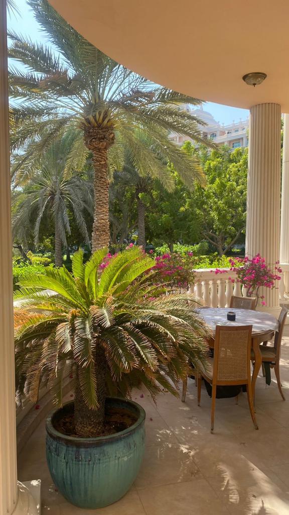 Вилла в Дубае, ОАЭ, 631.55 м² - фото 10