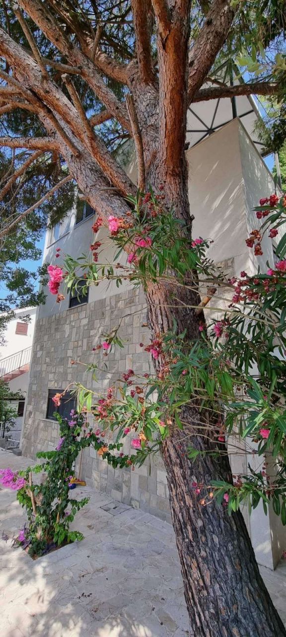 Вилла в Баре, Черногория, 175 м² - фото 15