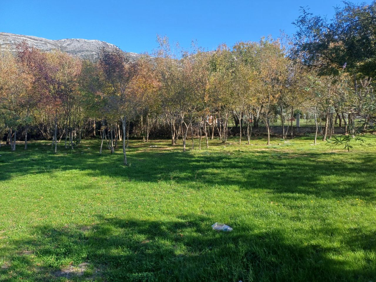 Земля в Булярице, Черногория, 1 455 м² - фото 9