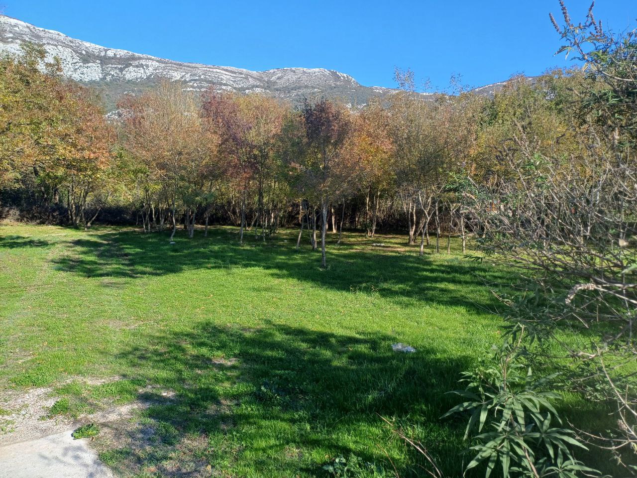 Земля в Булярице, Черногория, 1 455 м² - фото 14