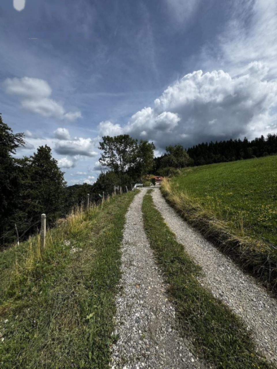 Ферма в Мариборе, Словения, 256 м² - фото 1