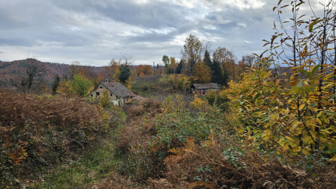 Ферма в Шкофльице, Словения, 25 000 м² - фото 2