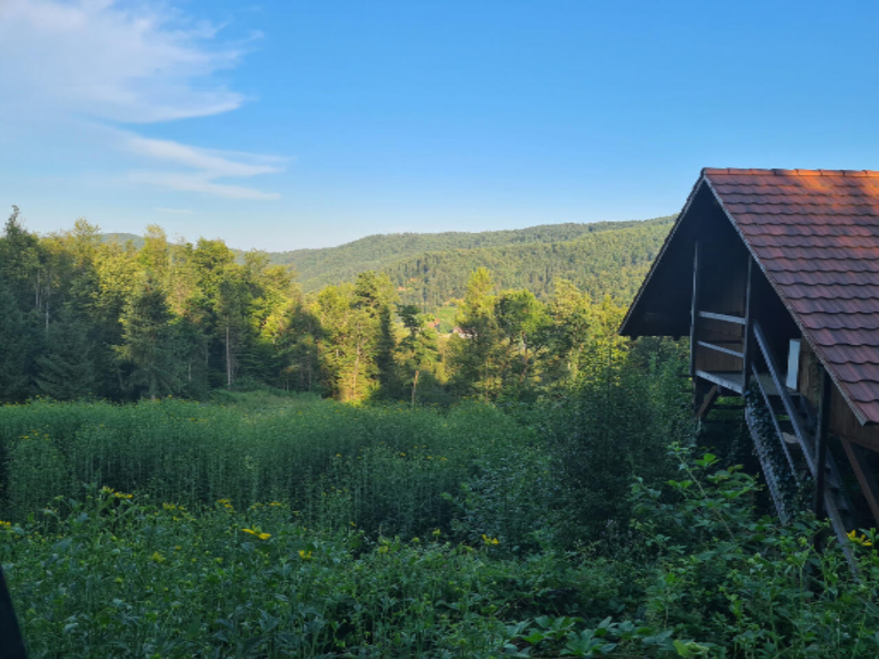 Ферма в Шкофльице, Словения, 25 000 м² - фото 3