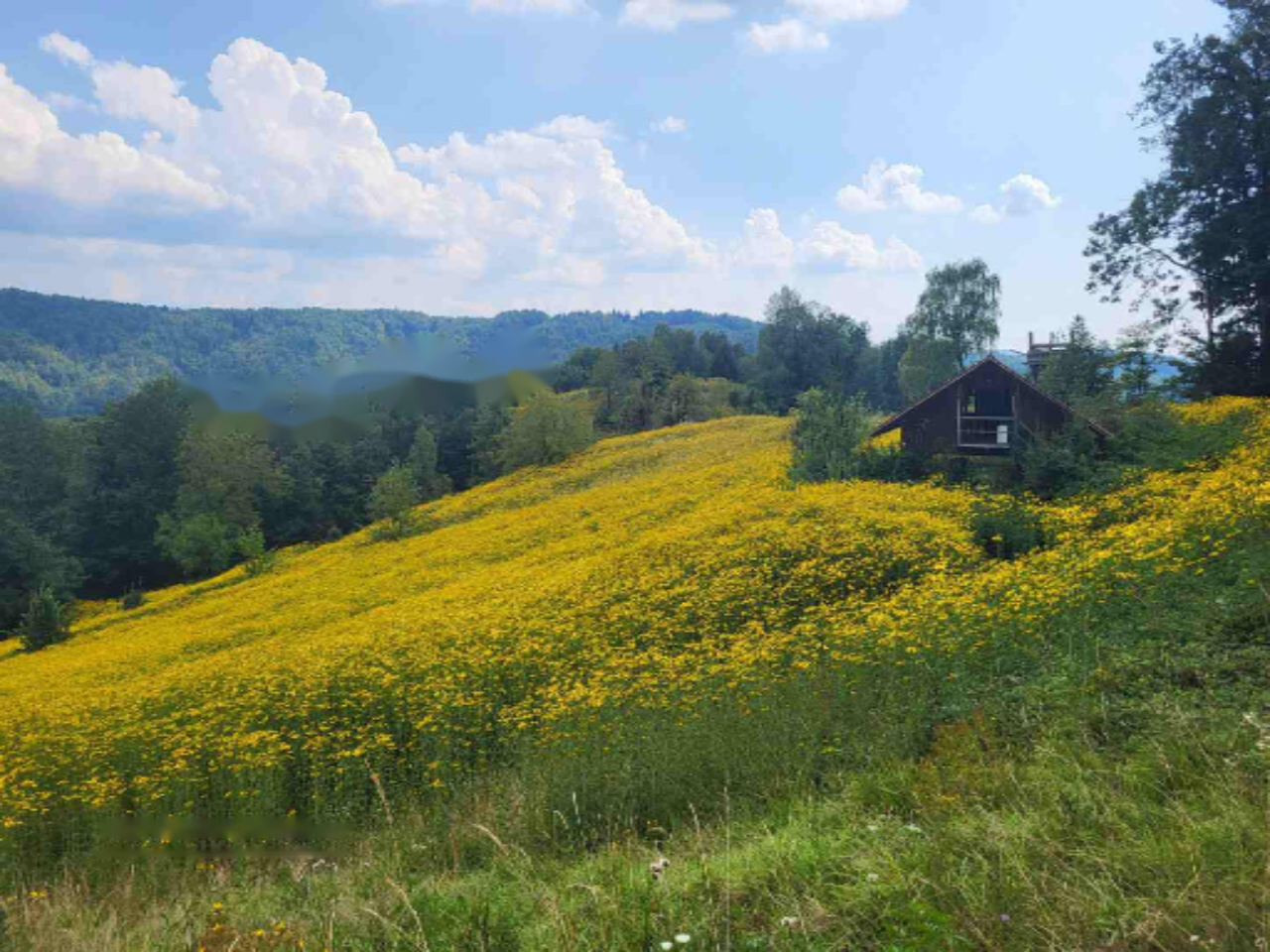 Ферма в Шкофльице, Словения, 25 000 м² - фото 5