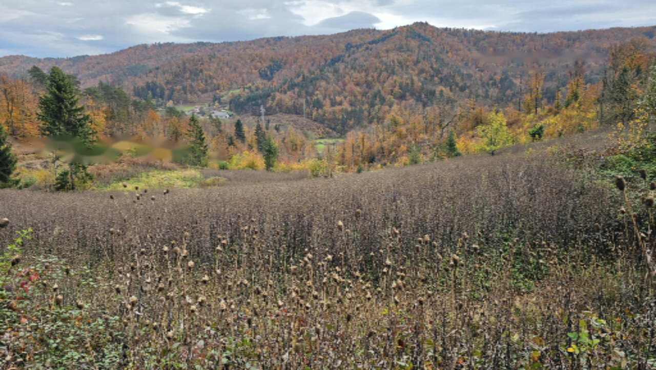 Ферма в Шкофльице, Словения, 25 000 м² - фото 6