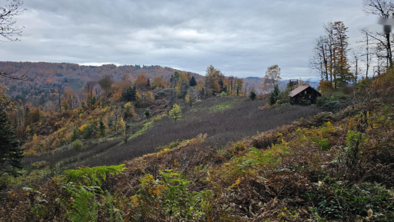 Ферма в Шкофльице, Словения, 25 000 м² - фото 7