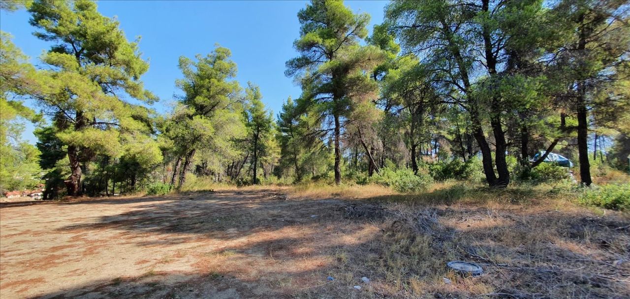 Земля на Кассандре, Греция, 5 200 м² - фото 4