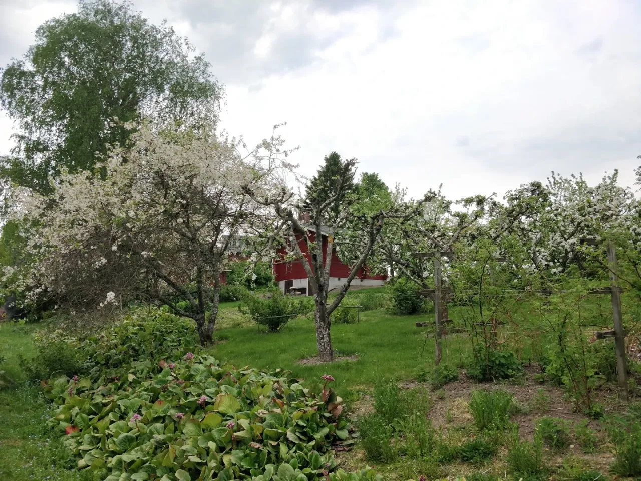 Коттедж в Хуитинен, Финляндия, 16 м² - фото 10