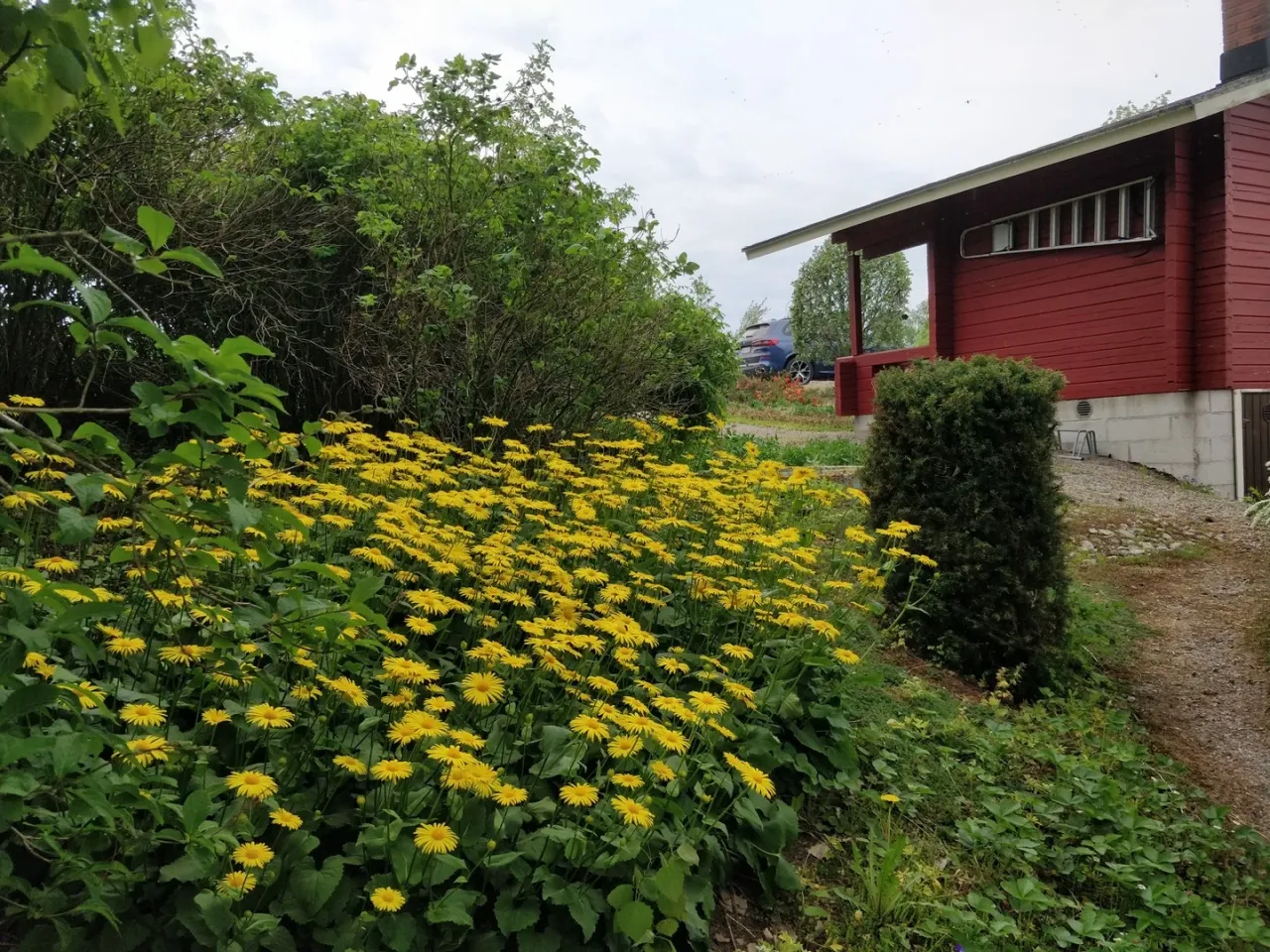 Коттедж в Хуитинен, Финляндия, 16 м² - фото 8