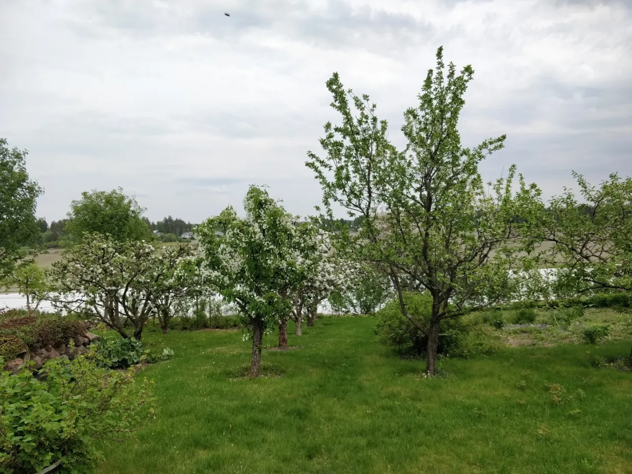 Коттедж в Хуитинен, Финляндия, 16 м² - фото 12