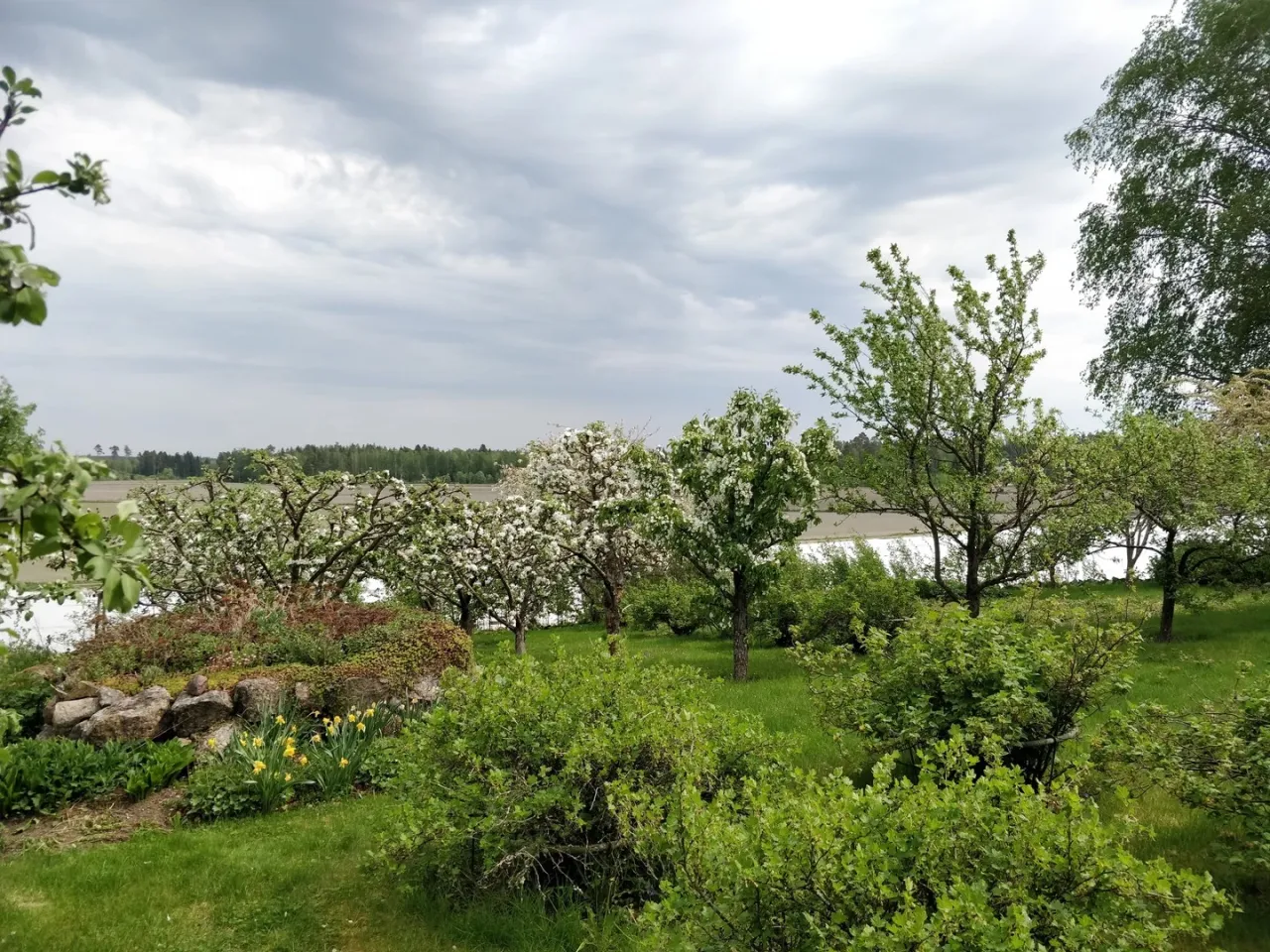 Коттедж в Хуитинен, Финляндия, 16 м² - фото 14