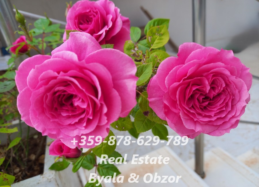 Квартира в Бяле, Болгария, 55 м² - фото 8