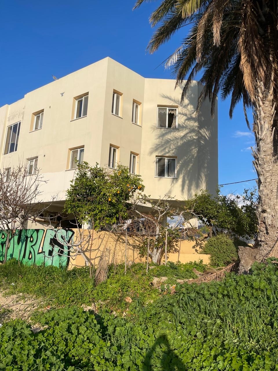 Коммерческая недвижимость в Пафосе, Кипр - фото 5