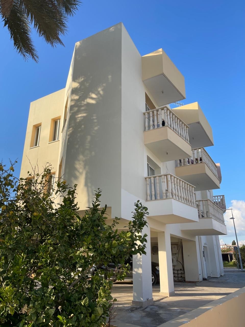 Коммерческая недвижимость в Пафосе, Кипр - фото 6