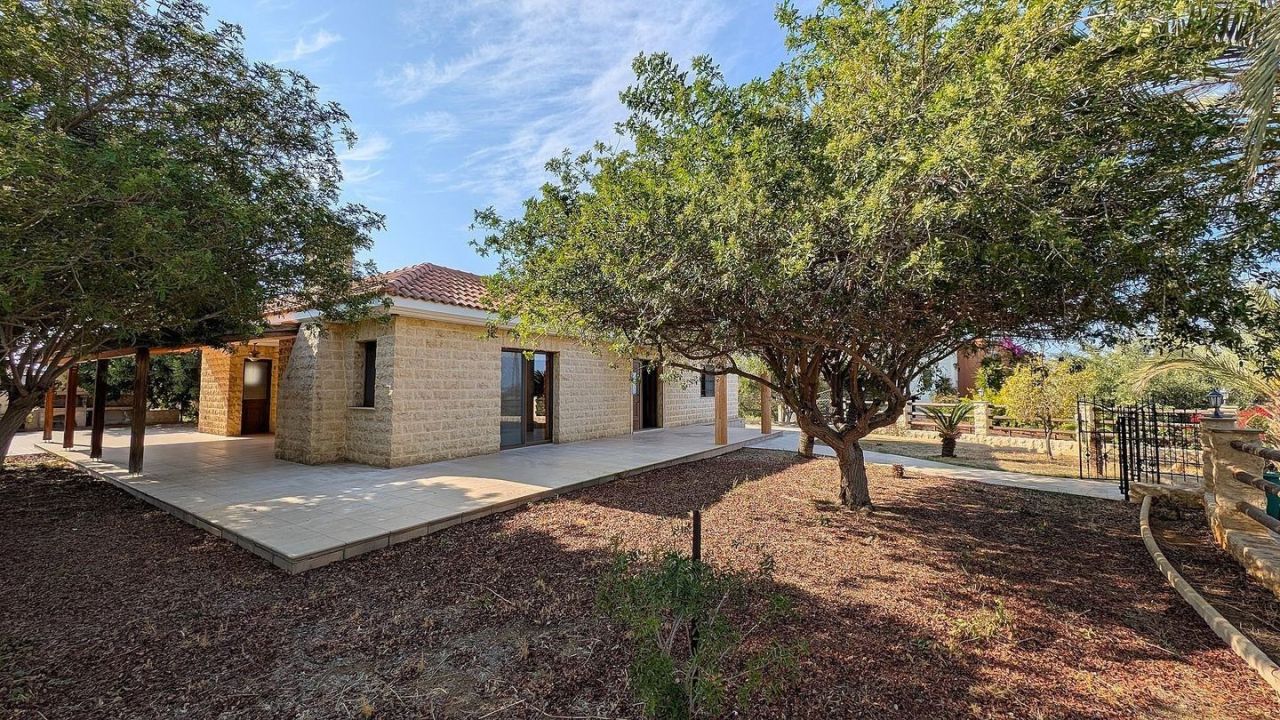 Коммерческая недвижимость в Пафосе, Кипр, 250 м² - фото 19