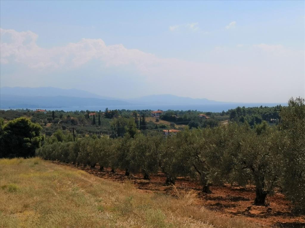 Земля в Ситонии, Греция, 15 120 м² - фото 9