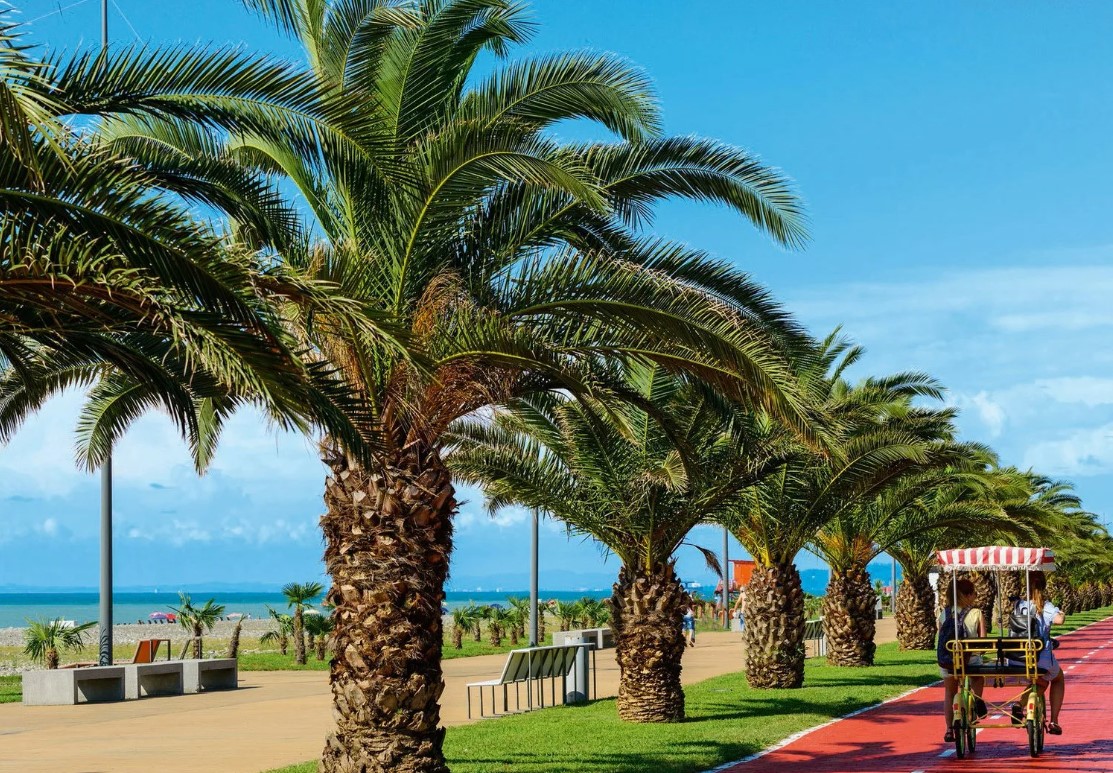 Квартира в Батуми, Грузия, 60.6 м² - фото 14