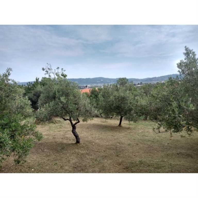 Дом на Кассандре, Греция, 75 м² - фото 7