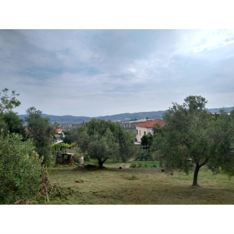 Дом на Кассандре, Греция, 75 м² - фото 8