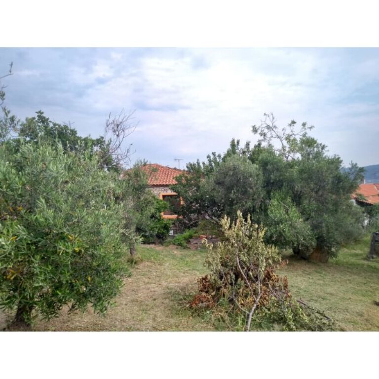 Дом на Кассандре, Греция, 75 м² - фото 9