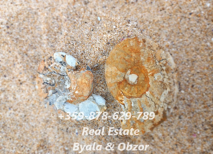 Квартира в Бяле, Болгария, 33 м² - фото 10