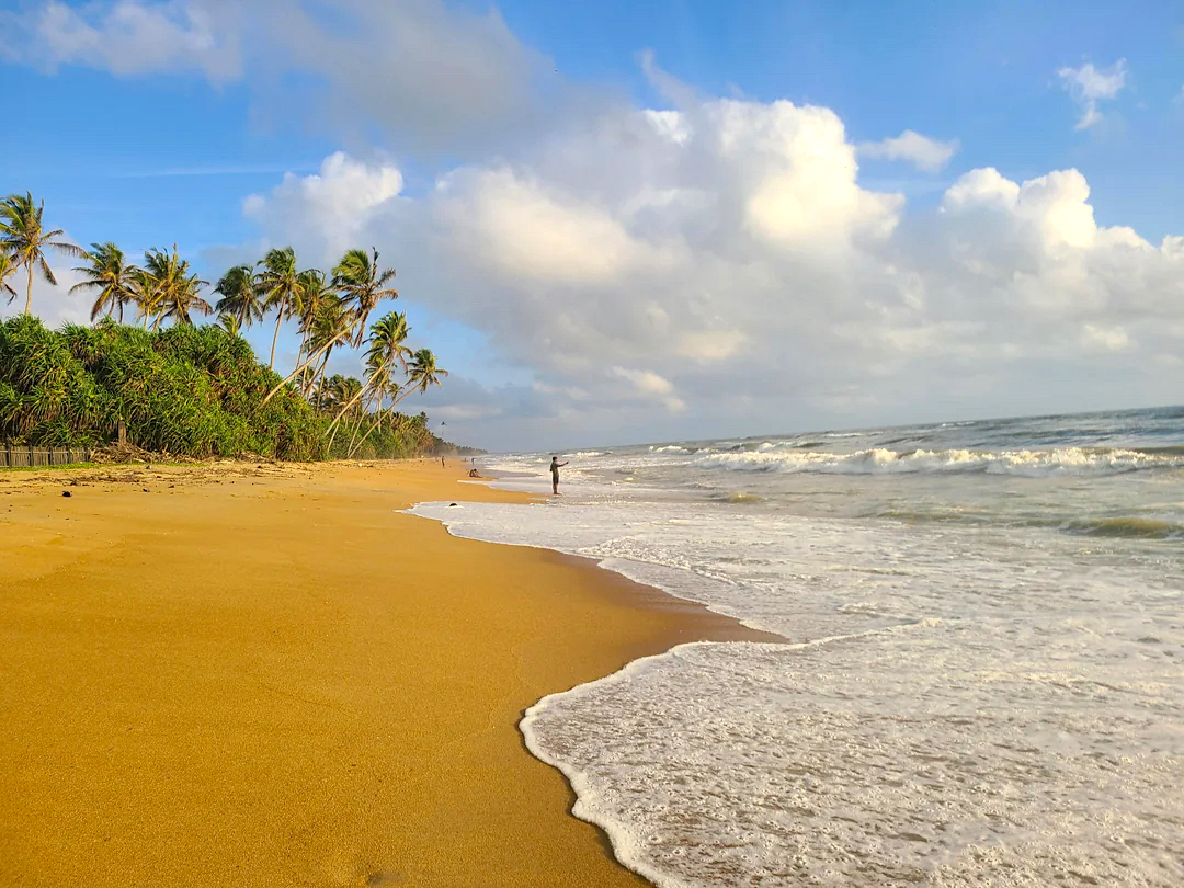 Отель, гостиница Коломбо, Шри-Ланка, 2 370 м² - фото 1