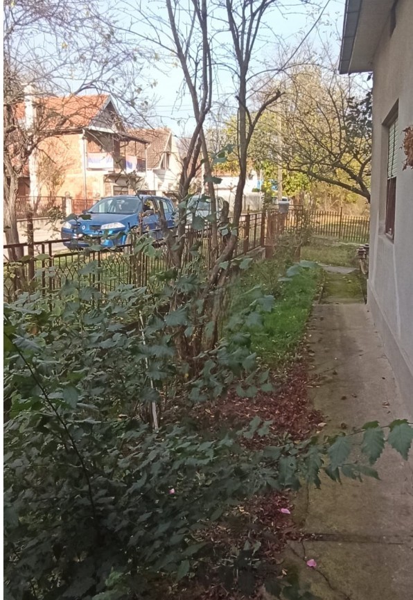 Дом в Нови-Саде, Сербия, 110 м² - фото 3